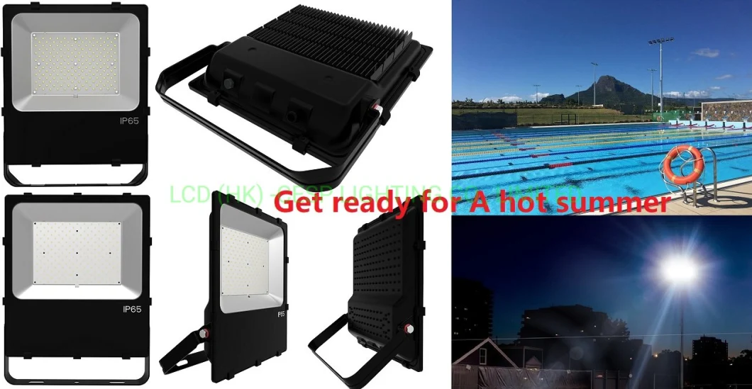 IP66 LED Flood Lights 10W 30W 50W 80W 100W Bowlight Remote Control 150lm/W 6000K Lighting Luminaire